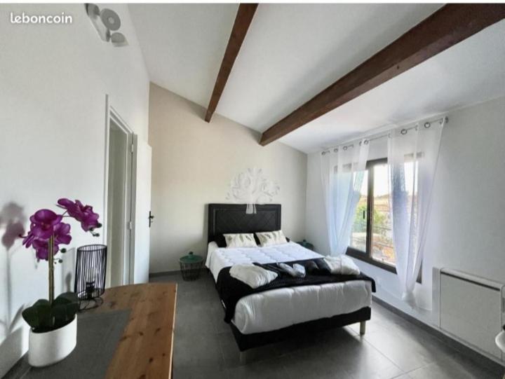 Villa Bandol Proche Du Port Et Des Plages Εξωτερικό φωτογραφία